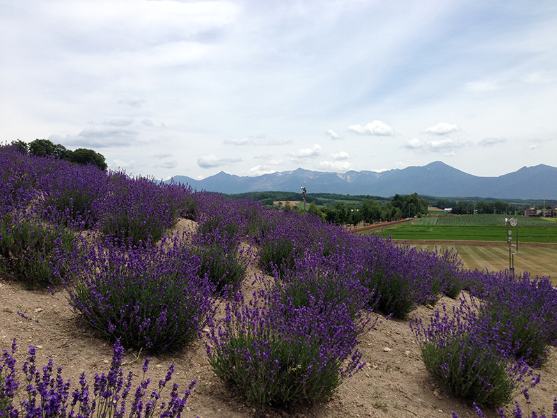 深山峠