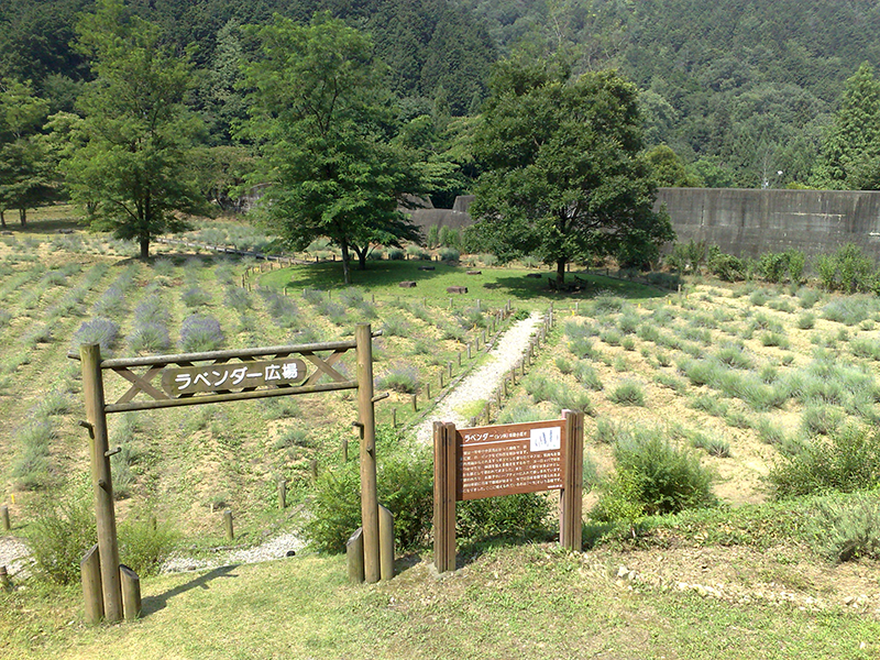 ながら川ふれあいの森