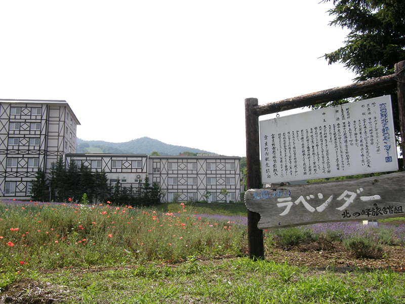 北の峰ラベンダー園