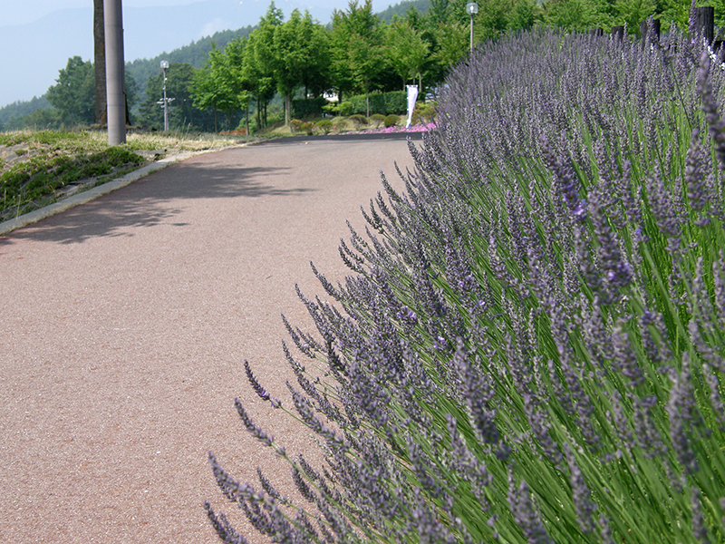 はびろ農業公園　みはらしファーム