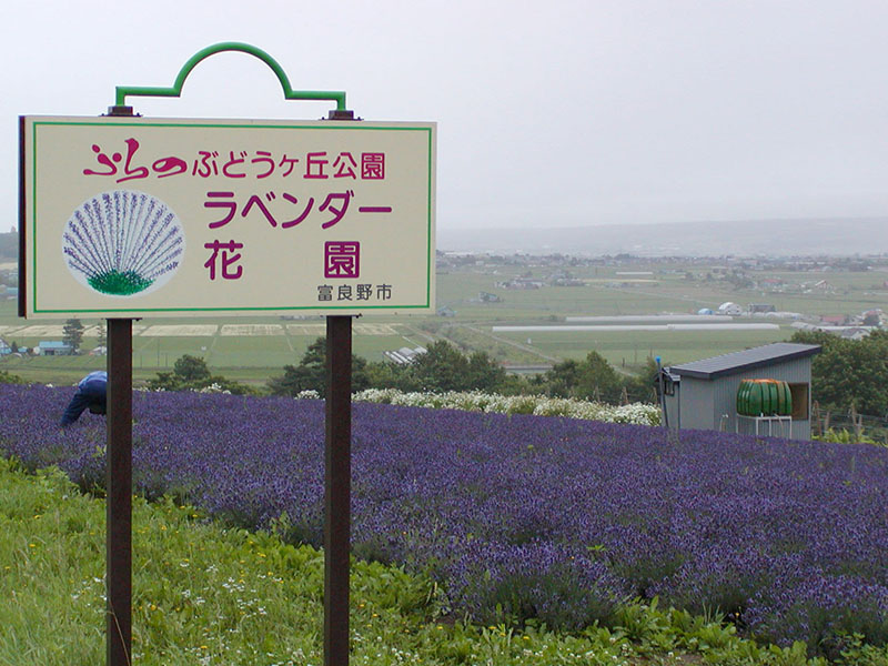 ふらのぶどうヶ丘公園